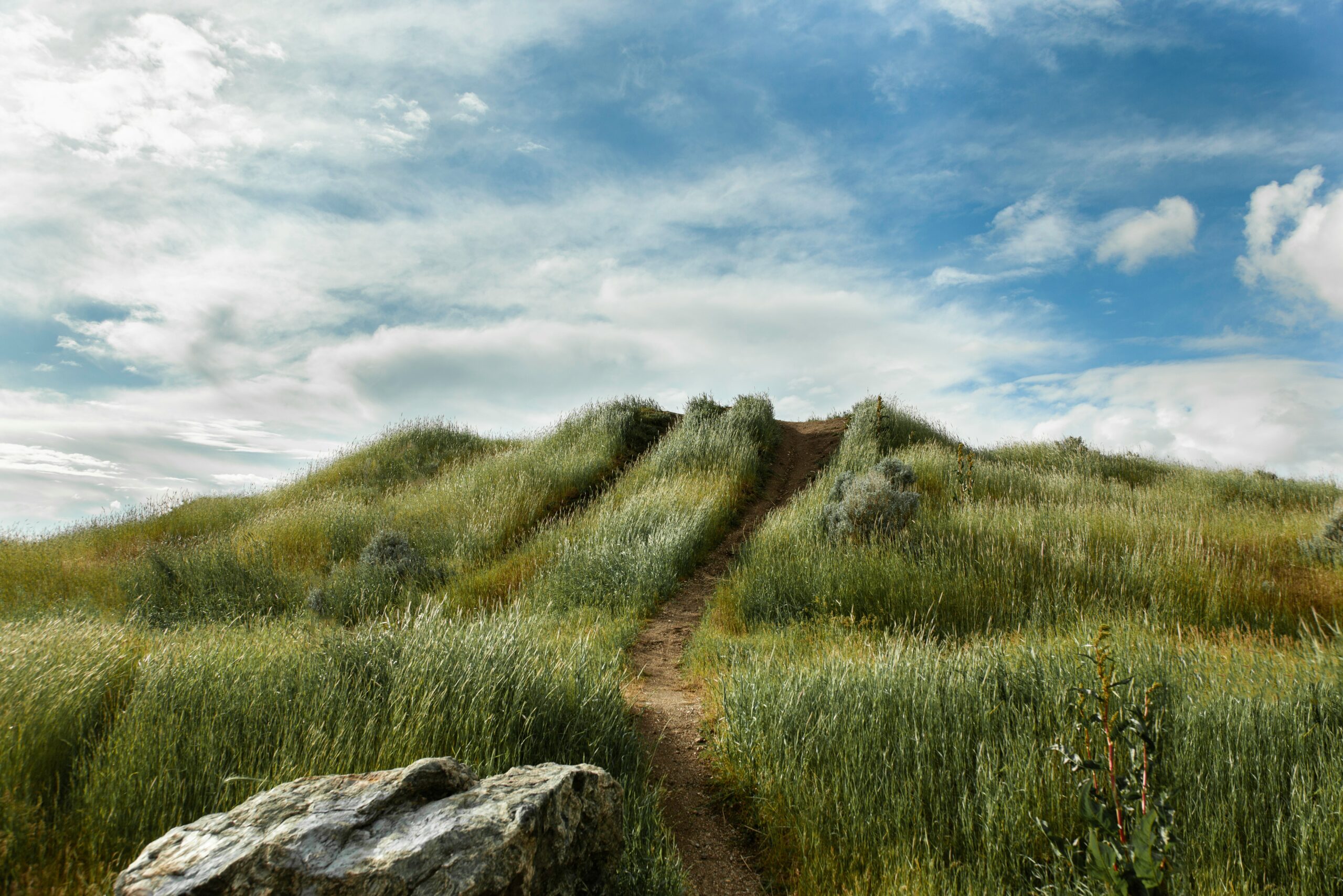 The Journey of a Physical Therapist with an Acquired Disability ...